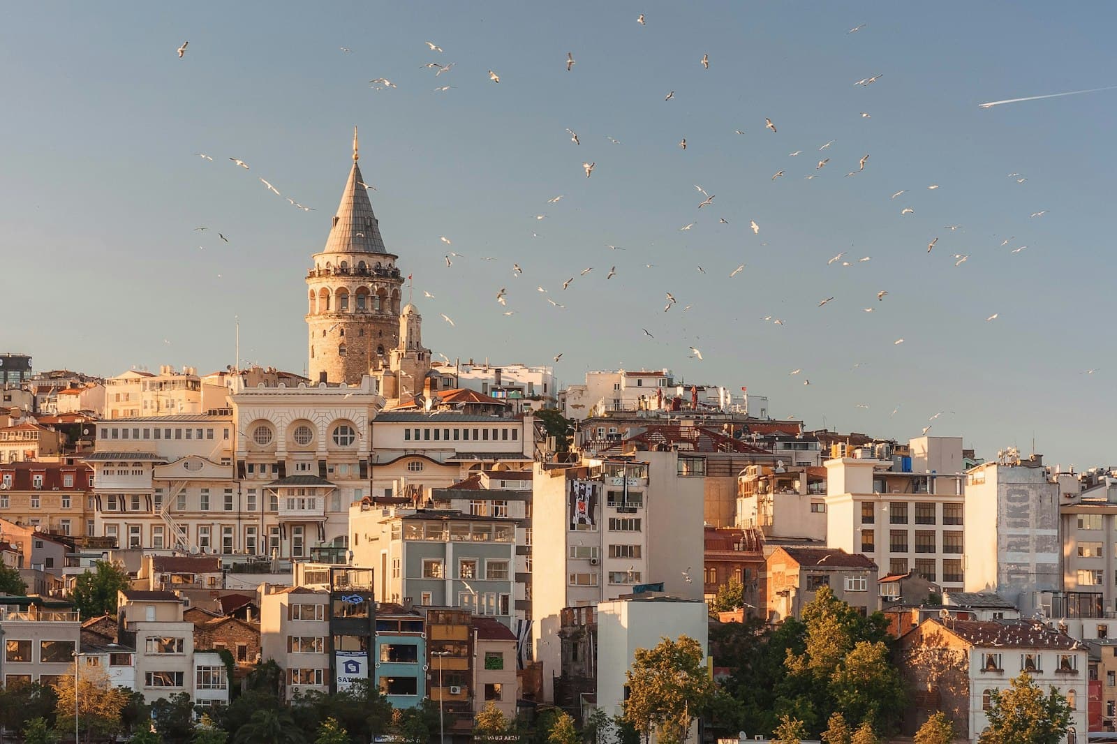 Historic waterfront city with domed mosque and minarets along a harbor