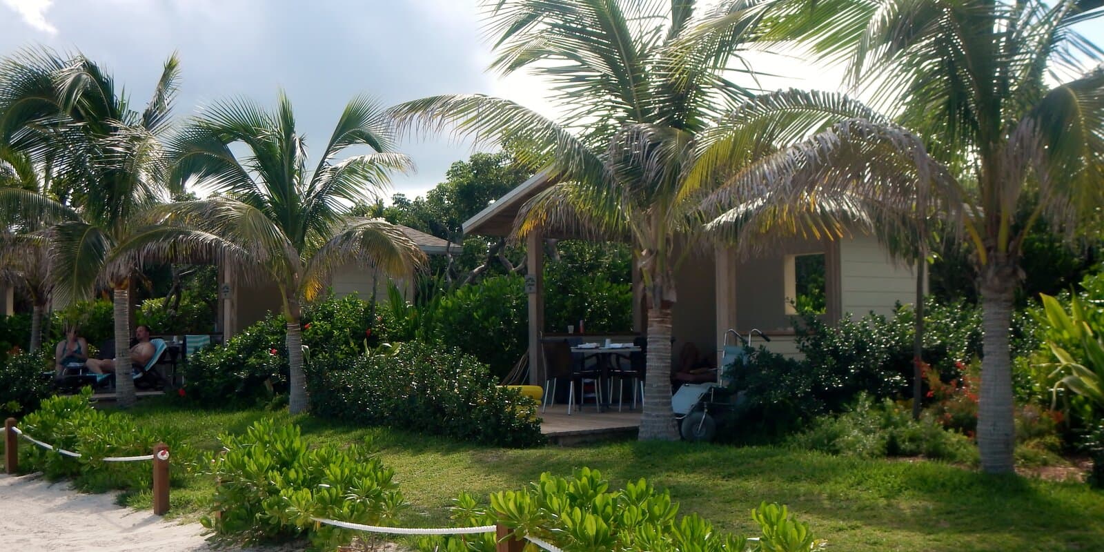 Thatched-roof beach cabanas and palm trees at a tropical cruise island destination