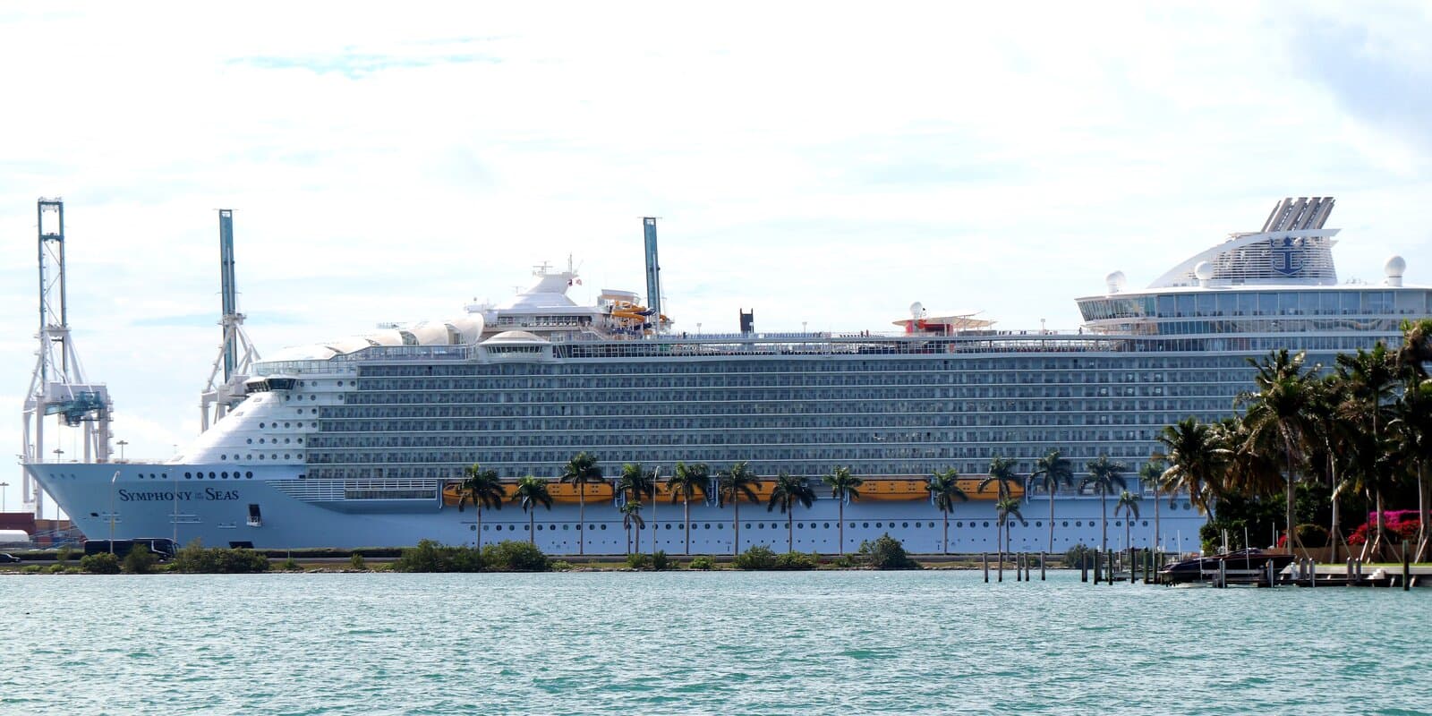 Symphony of the Seas, a Royal Caribbean cruise ship, docked at the Miami cruise port with palm trees along the waterfront.