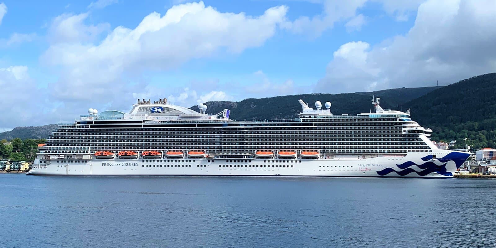 Sky Princess cruise ship in profile on calm water with green hills behind, Princess Cruises lettering and Sea Witch logo on the white hull