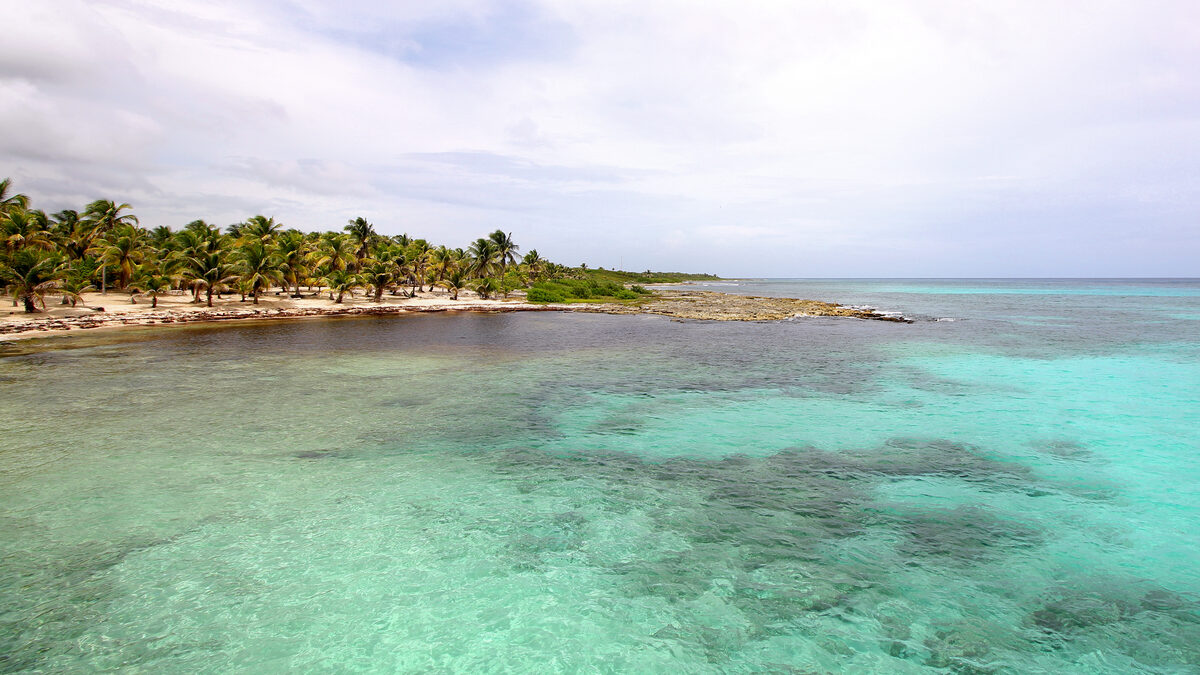 Turquoise Caribbean water and palm-lined shore northeast of the Costa Maya cruise pier in Quintana Roo, Mexico